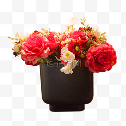 黑色花瓶里的红色花