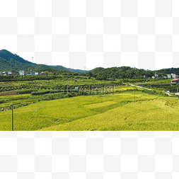 田园自然图片_田园风景