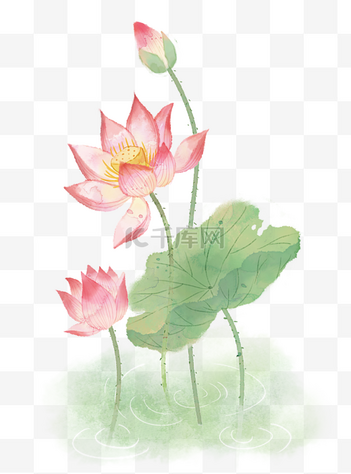 花元素