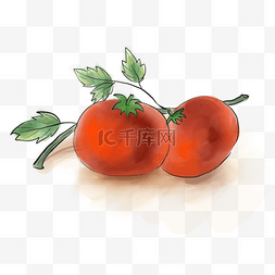 水粉蔬菜红番茄