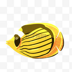 黑黄相间深海鱼