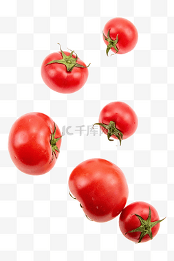 番茄图片_番茄西红柿