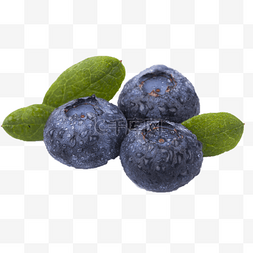 可口的水果图片_三个新鲜可口的蓝莓