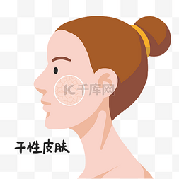 女性面部干性皮肤