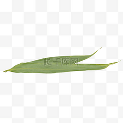 包粽子绿色粽叶
