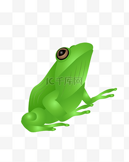 绿色的青蛙图片_绿色的青蛙