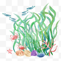 海底鱼群图片_海藻丛里的鱼群