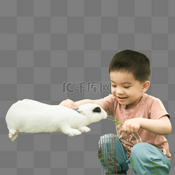 兔子图片_喂兔子吃草的小男孩