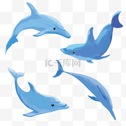 愤怒的海豚图片_蓝色的海豚