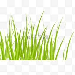 绿色的卡通植物图片_绿色的卡通青草