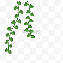 清新藤枝装饰图片_卡通绿色植物藤蔓