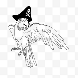 创意帽子插画图片_创意设计插画海盗图片鹦鹉