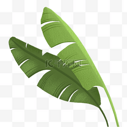 绿色植物芭蕉叶元素