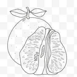 柚子图片_线描食物柚子