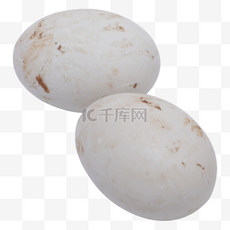 白色鸭蛋图片_白色鸭蛋
