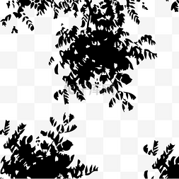 剪影图片_黑色树的剪影