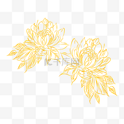 手绘植物线条图片_金粉烫金线条花手绘