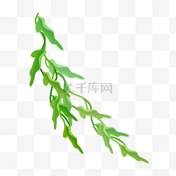 绿色藤蔓缠绕图片_春夏绿色藤蔓png素材