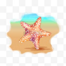 橙色海星图片_黄色沙滩海星