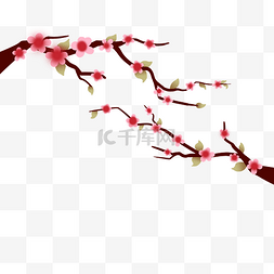 新年喜庆花朵图片_粉色春节梅花树枝