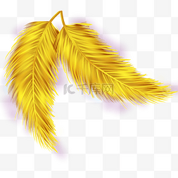 金色轻浮羽毛