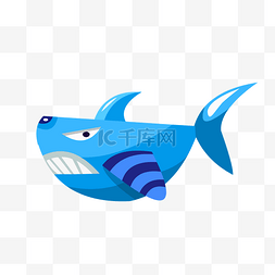 海洋生物鲨鱼