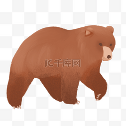 大型棕色狗熊