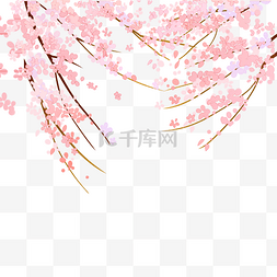 樱花花瓣图片_红色的樱花树免抠图