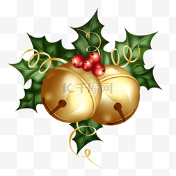圣诞节冬青装饰金色圆形真实质感
