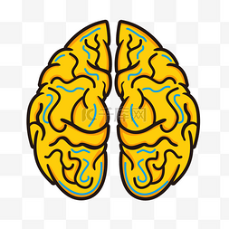 手绘黄色人体大脑内部矢量图