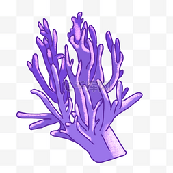 紫色珊瑚海洋生物
