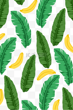 绿色芭蕉叶图片_芭蕉叶香蕉底纹