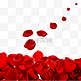 散落一地的红色玫瑰花瓣