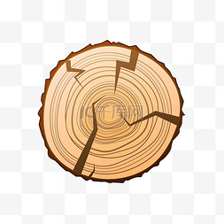 木头木桩年轮