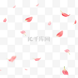 粉色漂浮的花瓣