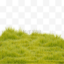 草皮护坡图片_绿草地绿草皮