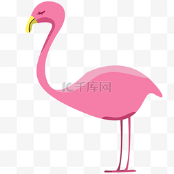粉色火烈鸟装饰插图