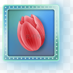 花卉按钮图片_郁金香卉图标