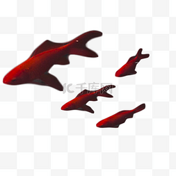 红鱼宠物游来游去