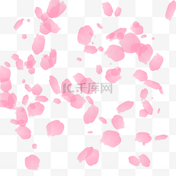 漂浮樱花图片_浪漫漂浮粉红樱花