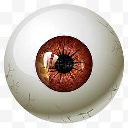 人体器官瞳孔
