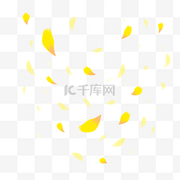 黄色花瓣漂浮飞舞