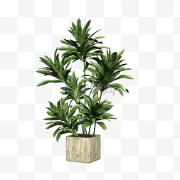植物花盆图片_方形陶瓷花盆绿植