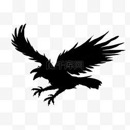 黑色乌鸦展翅