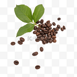 褐色的咖啡豆