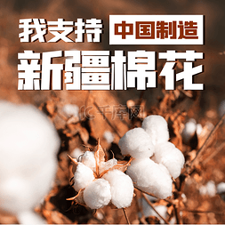我支持新疆棉花中国制造