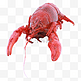 红色小虾