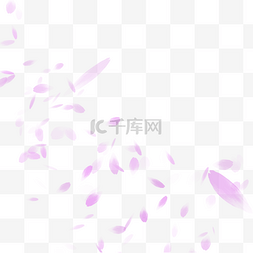 花瓣图片_紫色花瓣