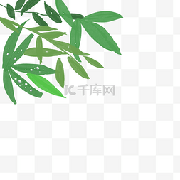 手绘红豆图片_竹子