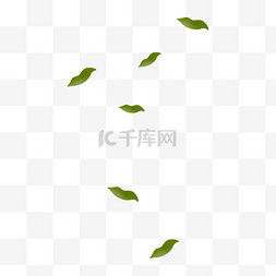 茶叶海报图片_漂浮树叶